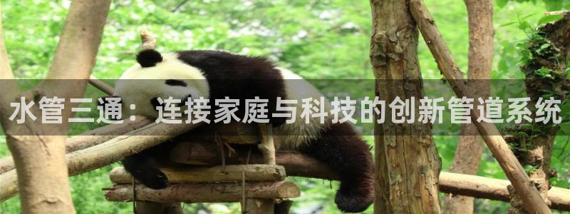 天辰娱乐appxi