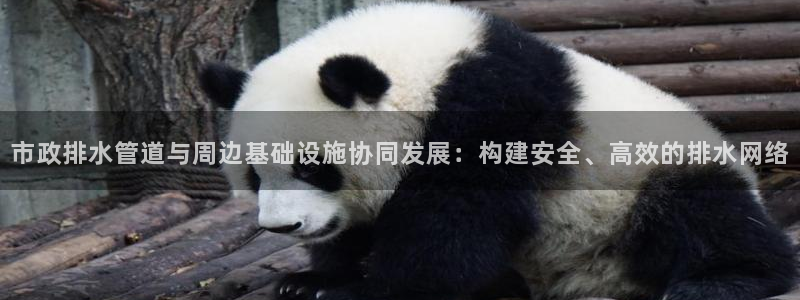天辰娱乐欢乐