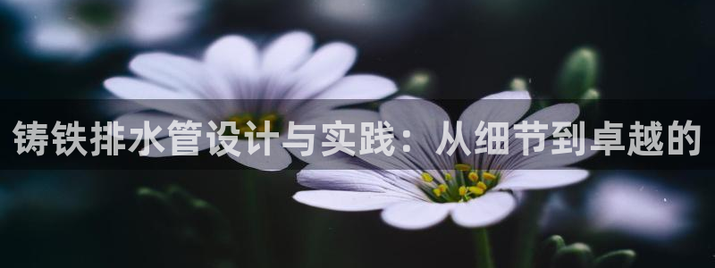 天辰娱乐登录测试