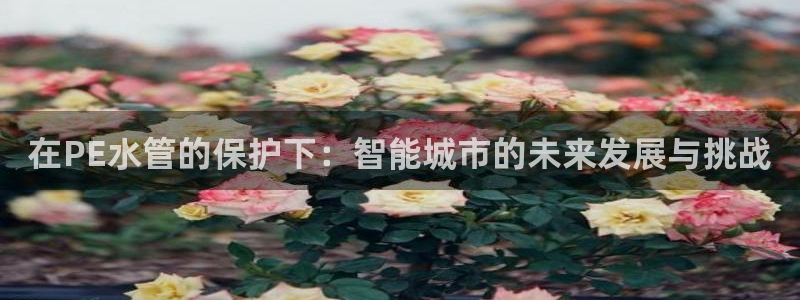 天辰娱乐best