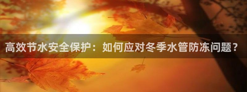 天辰娱乐游客