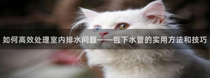 天辰娱乐平台安全吗