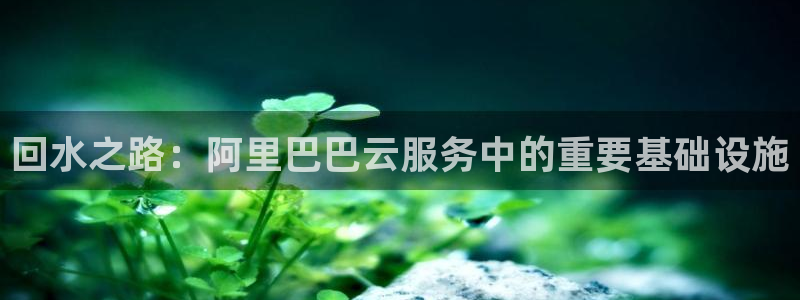 天辰娱乐登陆平台