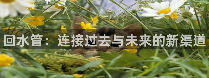 天辰娱乐娱乐平台