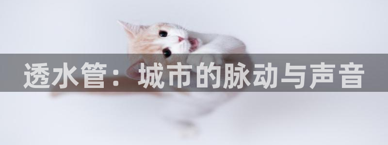 天辰娱乐游客