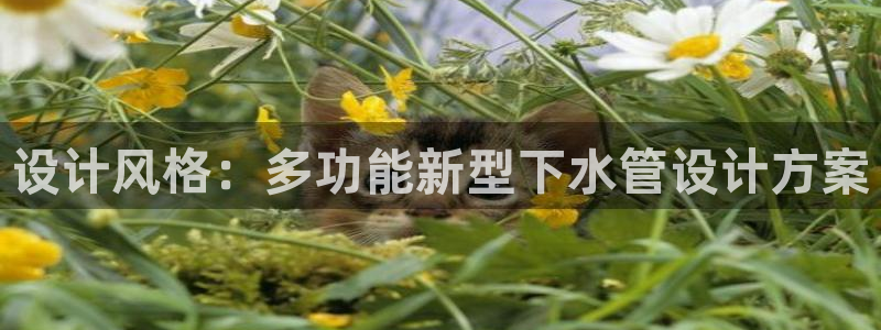 天辰娱乐说