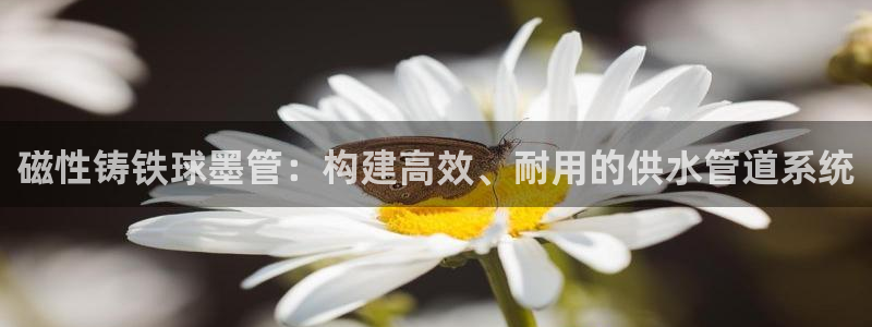 天辰娱乐在哪
