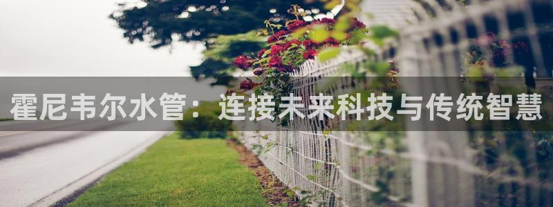 天辰娱乐best