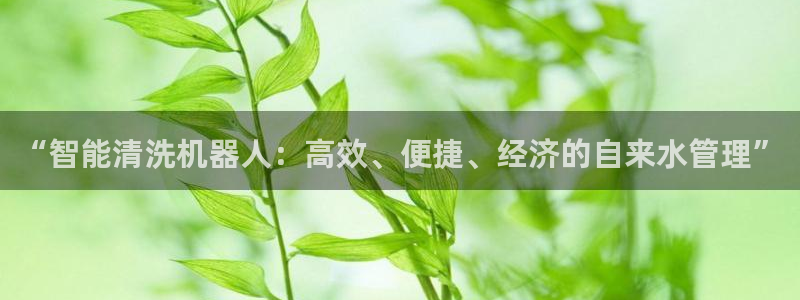 天辰娱乐服务