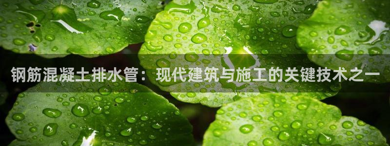 天辰娱乐APP下载