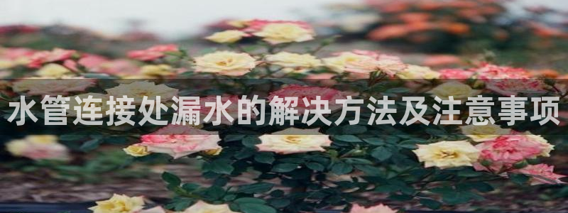 南充天辰娱乐