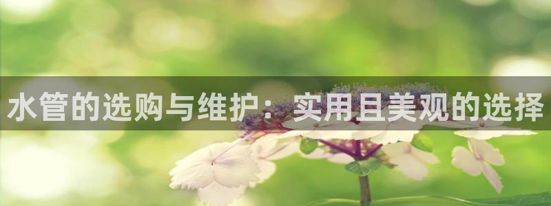 天辰a娱乐