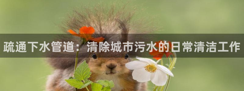 天辰娱乐小姐