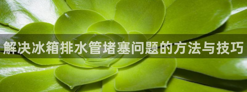 北京天辰娱乐