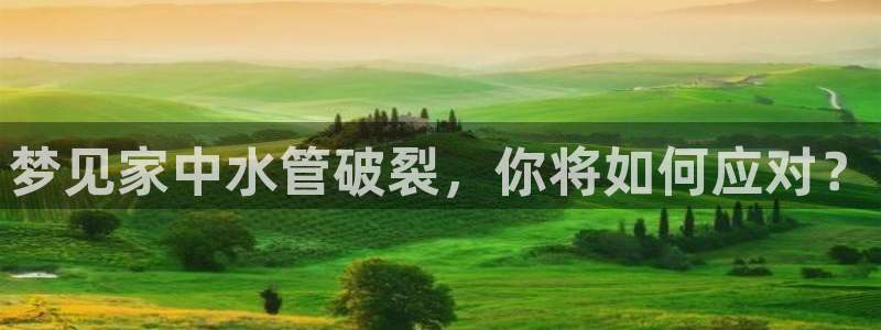 天辰娱乐上级