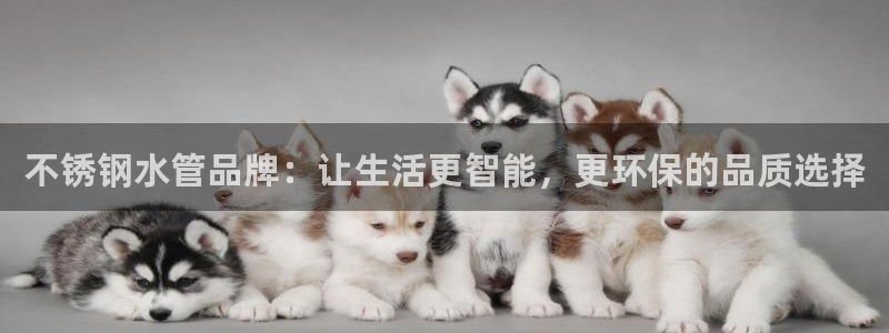 天辰娱乐上级