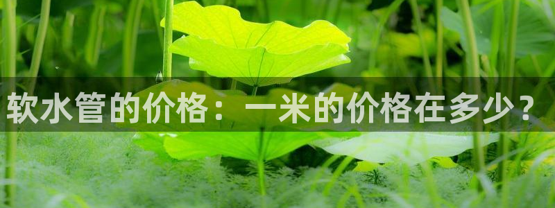 天辰娱乐平台app下载